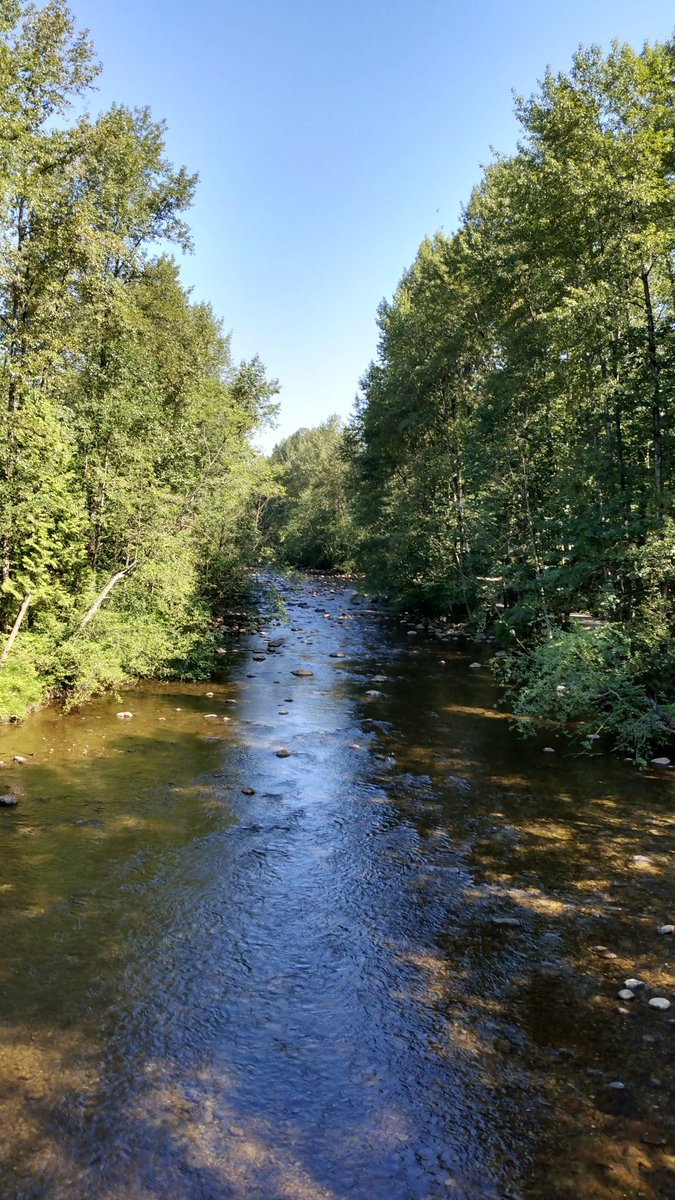 Elsa Chu tweet media