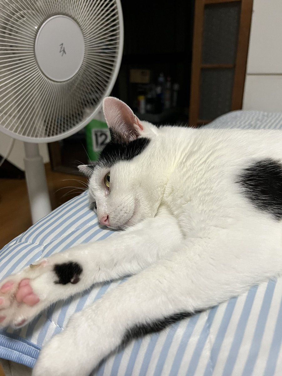 BT_V07's tweet photo. https://t.co/QkrFubb5Z0