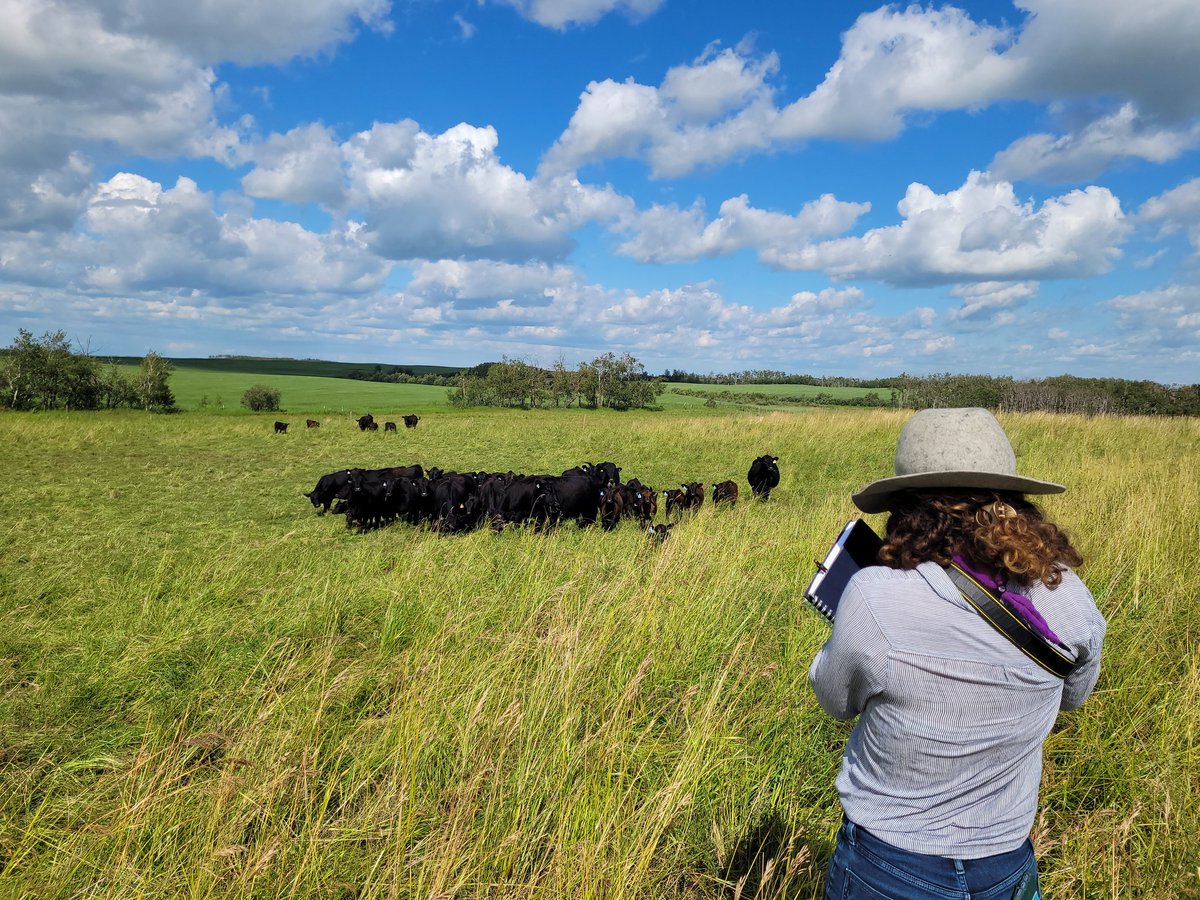 The last few days we were expanding our knowledge on #covercrops #compost and as always some peer networking in #agriculture at #Tuffnell home of <a href="/QuickDickMcDick/">QuickDickMcDick 🇨🇦</a>