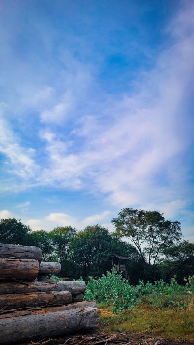 faafrizal's tweet image. pagi yg indah untuk jiwa yg sleepy 😴😴