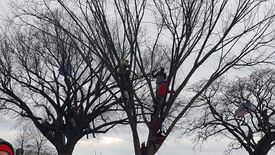 creek_twit's tweet photo. #PDXPB and a whole gaggle of #Jan6TreeSitters. From https://t.co/7y5qRZ90Gq.. https://t.co/tgazjtq9VX