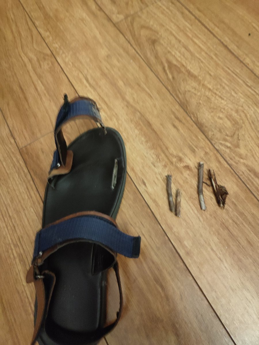 vastorcheick's tweet photo. Sandale rebelle va !
On peut faire ça à un vacancier en pleine ballade dans une rue à l'étranger ? C'est quelle grève surprise ça.😂😂😂
#SystèmeD https://t.co/jhCmPWsaoI