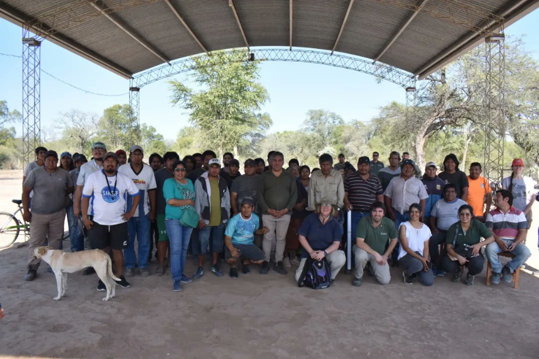 Dirección de Bosques tweet media