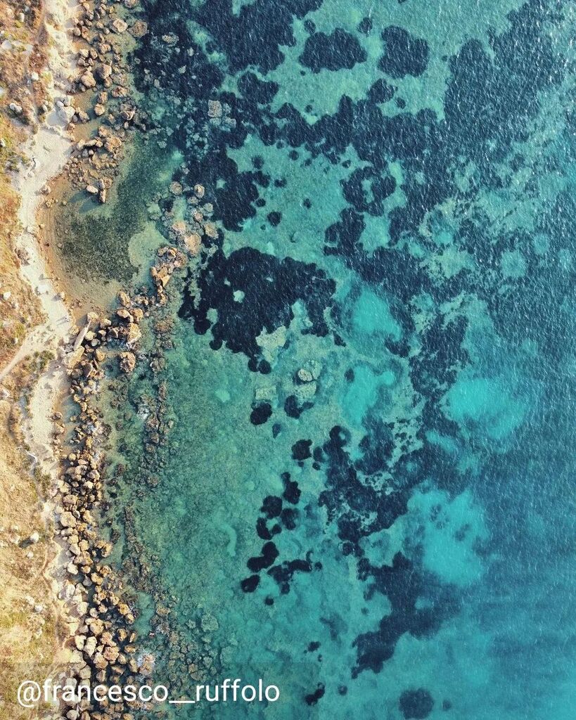 CalabriaTweet's tweet photo. Il mare ai piedi della storia. Grazie a @francesco__ruffolo per questo scatto dal Parco Archeologico di Capo Colonna (KR)
#capocolonna #crotone #calabriatweet #mare #sea #parcoarcheologico #archeological #travel #viaggiare #viaggi #visit #visititaly #est… https://t.co/peLO8R3yg1 https://t.co/uxbZseXGO5
