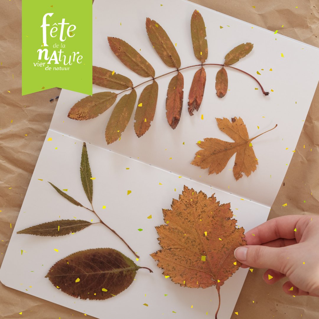 ☘️💚Vandaag is het de internationale dag van de #natuurbescherming . De #natuur is een feestje waard en daarom vieren we de natuur van 2 tot en met 4 september. Vier jij mee? Kijk welke activiteiten er in jouw buurt te vinden zijn: bit.ly/3PdkN0R