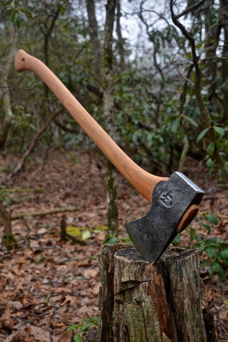 Dam Dam on Twitter ""The forest was shrinking, but the trees kept