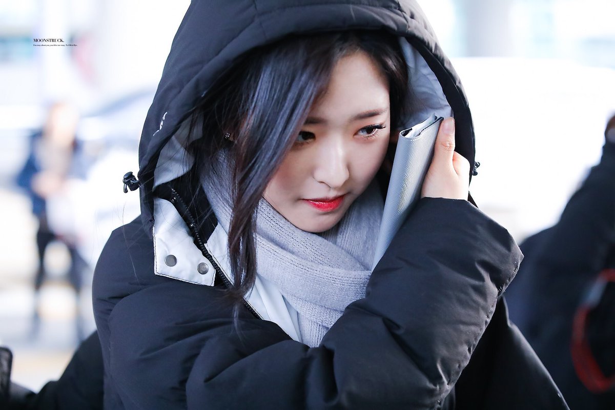 hourly loonacatcher bot - CLOSED tweet media