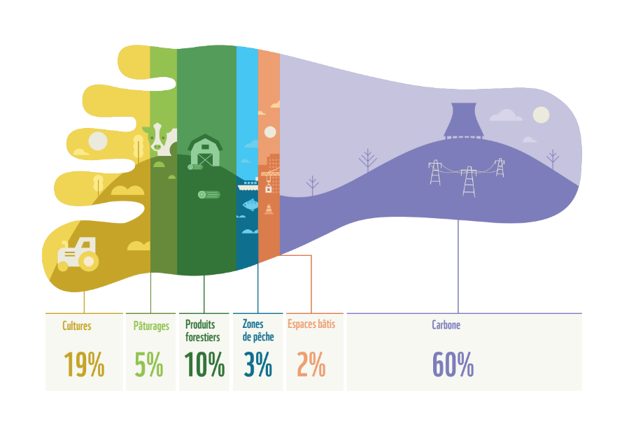 WWF France 🐼 tweet media