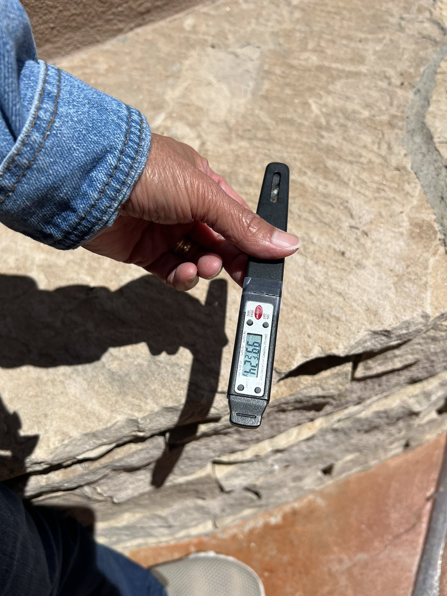 Mary Ann Cawley tweet media