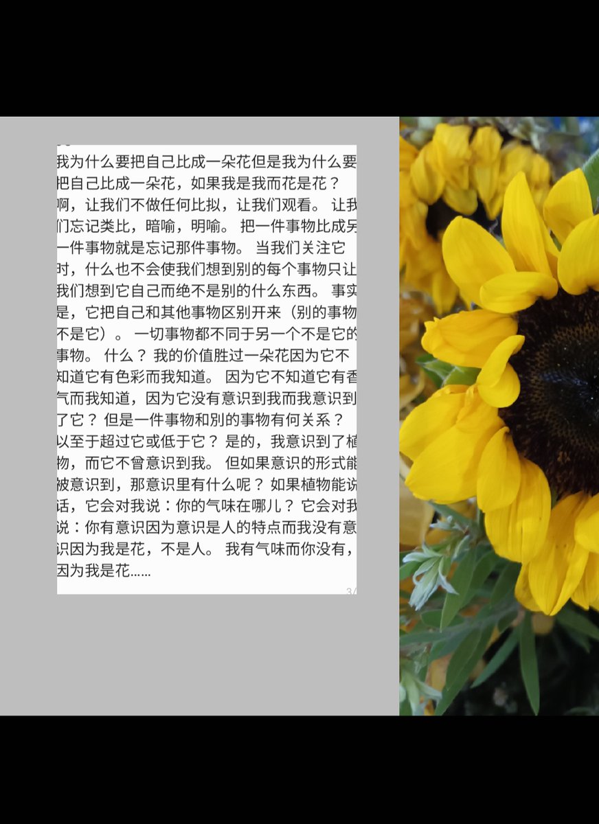 LadyVicky79's tweet photo. https://t.co/yP7FSqEalm
