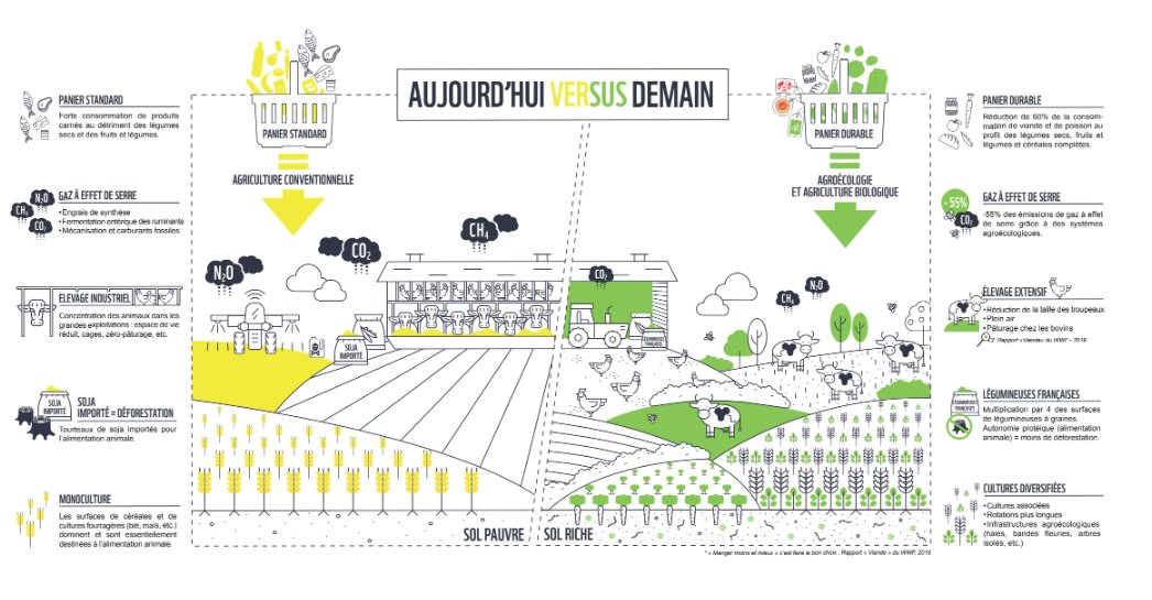WWF France 🐼 tweet media