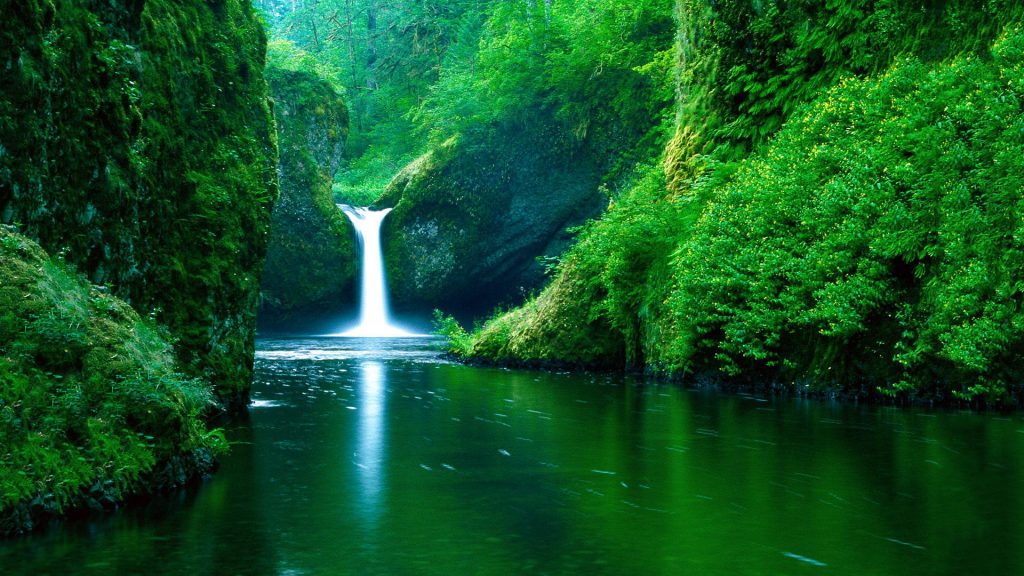 MD FAHIM SARKAR (@mdfahimsarkar26) on Twitter photo 