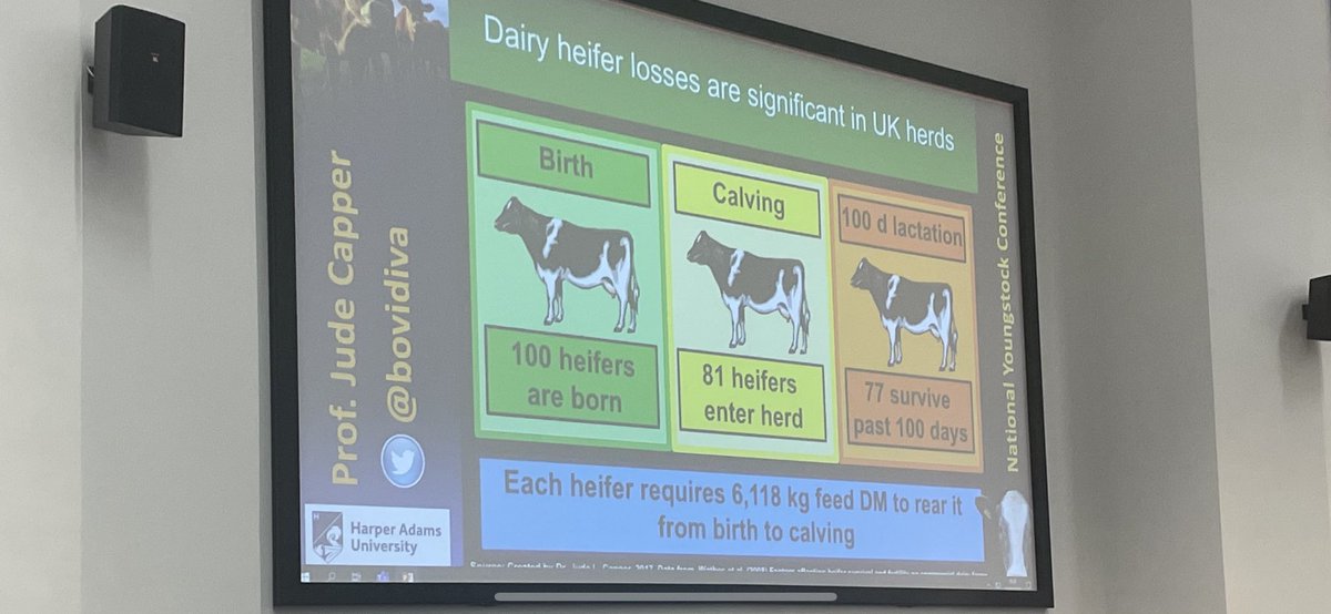 Youngest daughter booked us a day out yesterday to <a href="/cowmanagement/">Rachael Porter</a> youngstock conference. Fantastic presentations all round but <a href="/Han_Batty/">Hannah Batty</a> and <a href="/Bovidiva/">Prof. Jude Capper 🐄🐂🐑</a> very inspirational. Shocked at the slide below. #alwayslearning