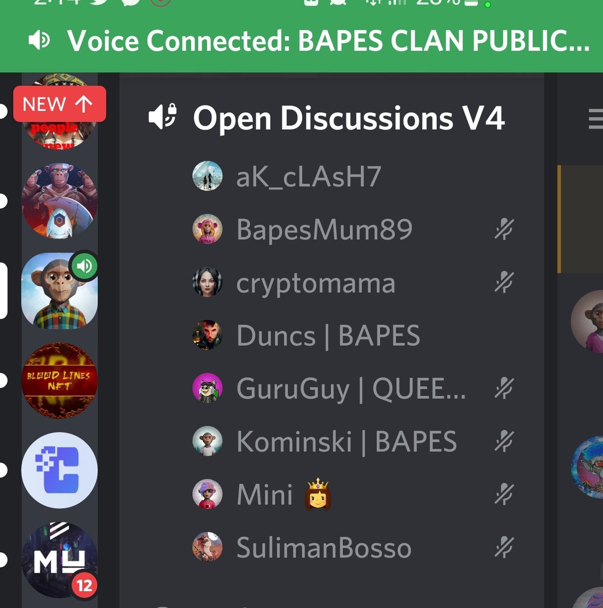 Mini_isTheBeast's tweet photo. Because we miss VC! Insert @amal_h0pe and @kevinthekorean We're having good talks with some new community members. @bapesclan #bapesfam
#Chaintechlab #TellusLabs
@BoyMum89 @__Duncs @Kominski777 @biko_mama @gy_right https://t.co/PaMBih0b43
