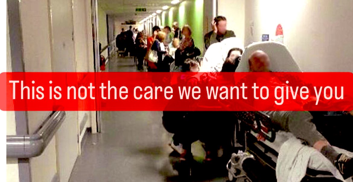 Maggie Pacheco tweet media