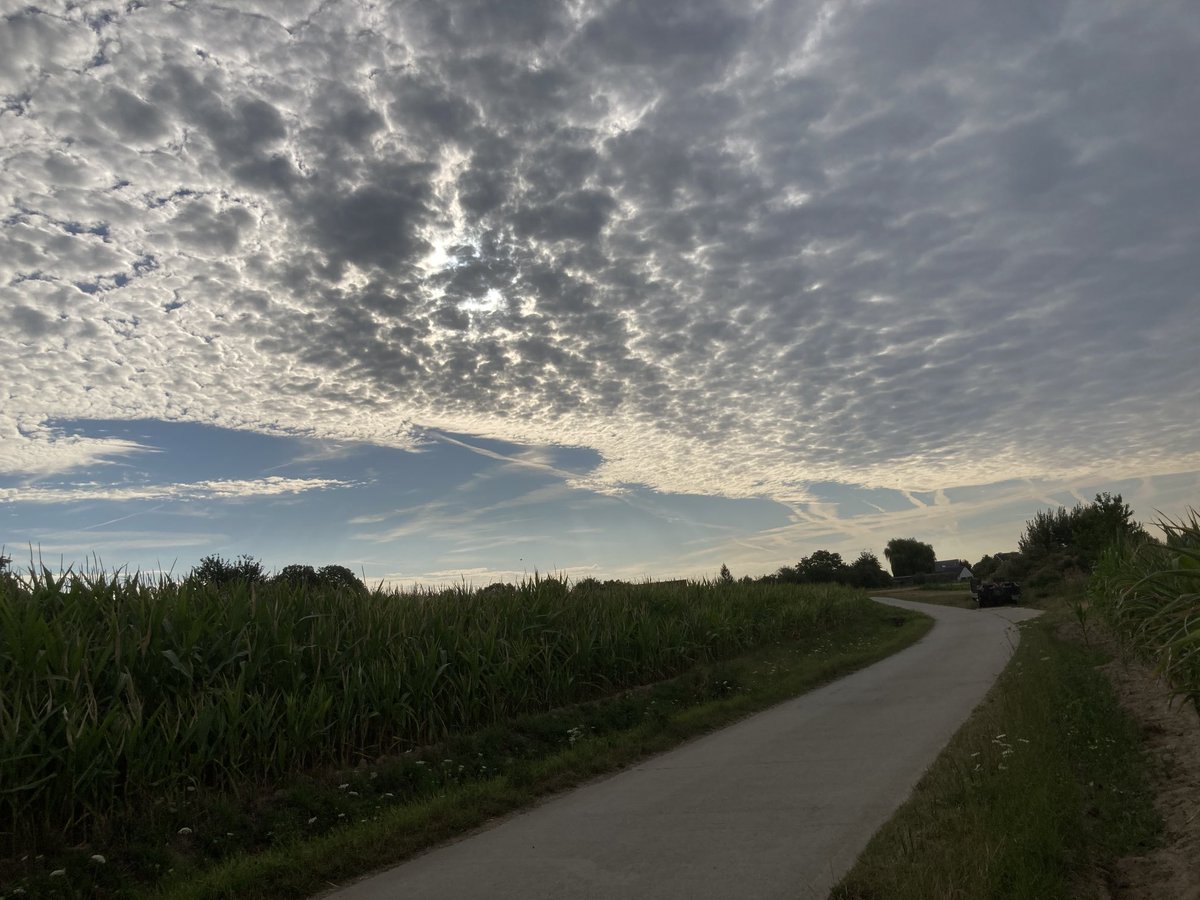 Lutgartvdm's tweet photo. #vrtweer Denderleeuw 8:28 Lutgart Vanden Meersch https://t.co/lVxh238IqF