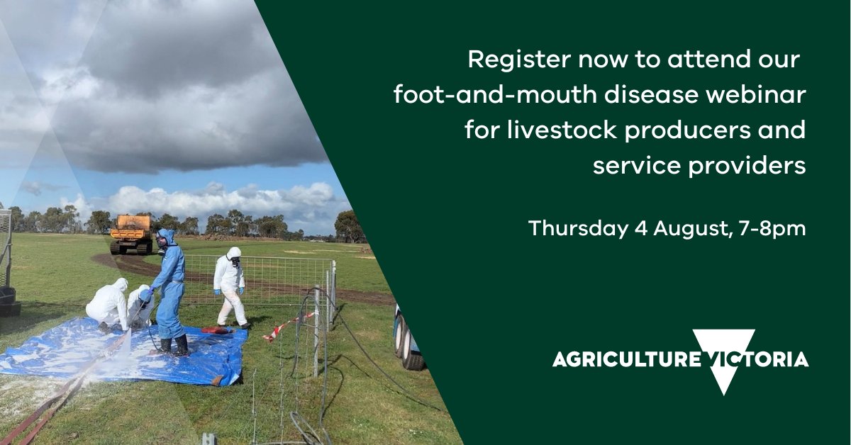 Missed last night’s webinar on foot-and-mouth disease? 
We will run it again this Thursday, 4 August 7-8pm, in case you missed out. 
Register online: agriculture.vic.gov.au/events 
<a href="/Dairy_Australia/">Dairy Australia</a>
<a href="/WoolProducers/">WoolProducers Aust.</a> 
<a href="/SheepProducers/">Sheep Producers Australia</a> 
@cattlecouncilau 
<a href="/theGRDC/">GRDC</a> 
<a href="/vffStockSense/">VFF Stock Sense</a>