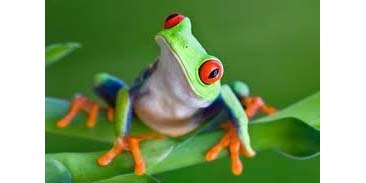 Escritores.org tweet media