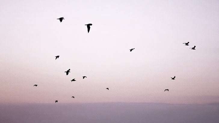 Ben bu yol ayrımında sensiz olsam ne çıkar
Kahra göçen kuşların kanatlarında kaldın

|Nurullah Genç