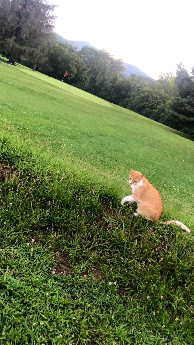 PussPusCCC's tweet photo. https://t.co/IttmtiVNVN