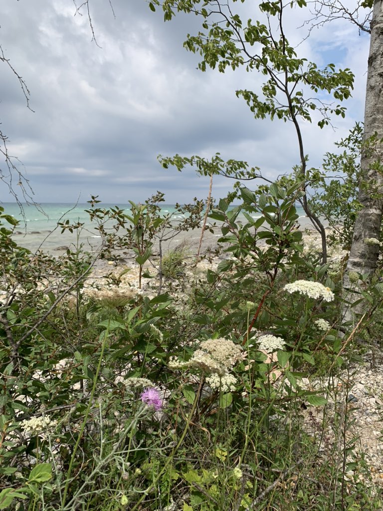 sagepetoskey's tweet photo. There’s no place like Lake Michigan. https://t.co/xo6Ccep1Ez