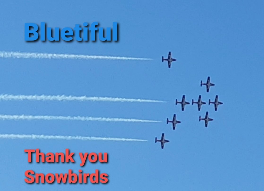 PZippyT's tweet photo. @CFSnowbirds Thank you so much Snowbirds for the super amazing and generous show. Your aeronautics are stellar. We love you and have missed you in Vancouver. #snowbirds #englishbay #Vancouver https://t.co/WfDT1h9NWf
