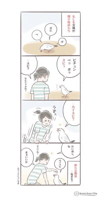もしも文鳥が喋れたら
#文鳥
#bunchoslife 