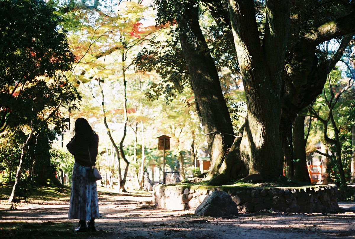 1049🌿ﾎﾞﾀﾆｶﾙﾄﾋﾞｱﾗﾊﾞｰ🍺ｳﾁｭｳｼﾞﾝ👽 tweet media