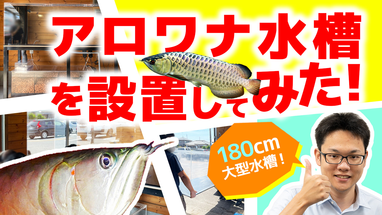 トロピカ 東京アクアガーデン Tropica Aqua Twitter