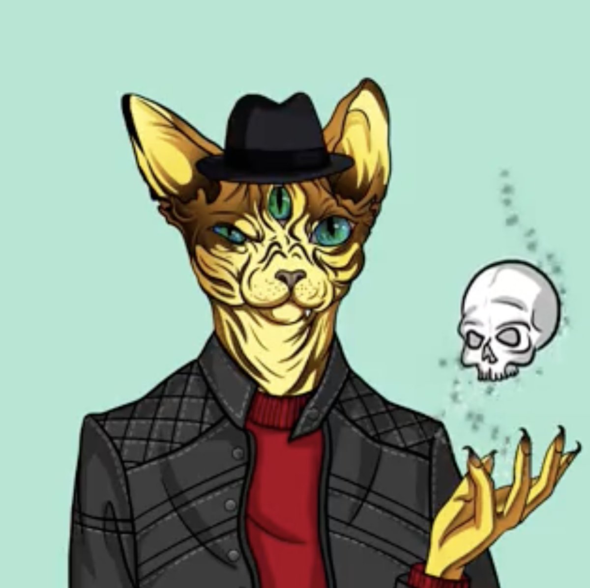 Sphynx Cat Magic Club tweet media