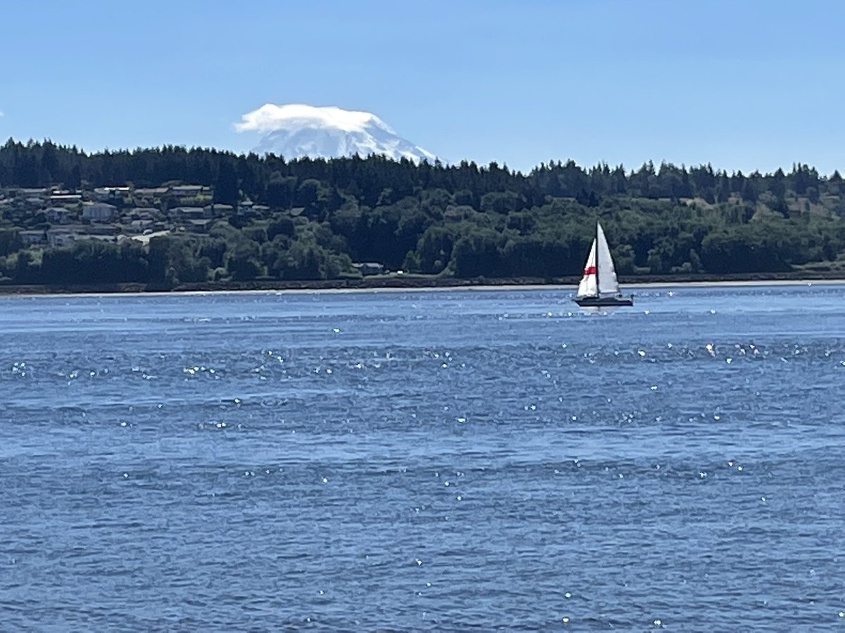 WritersConnect3's tweet photo. Do you still hate science when you have a UTI and need an antibiotic? #health #science #voteintheprimary #GigHarbor #PortOrchard #Bremerton https://t.co/VUsRmwa3fu