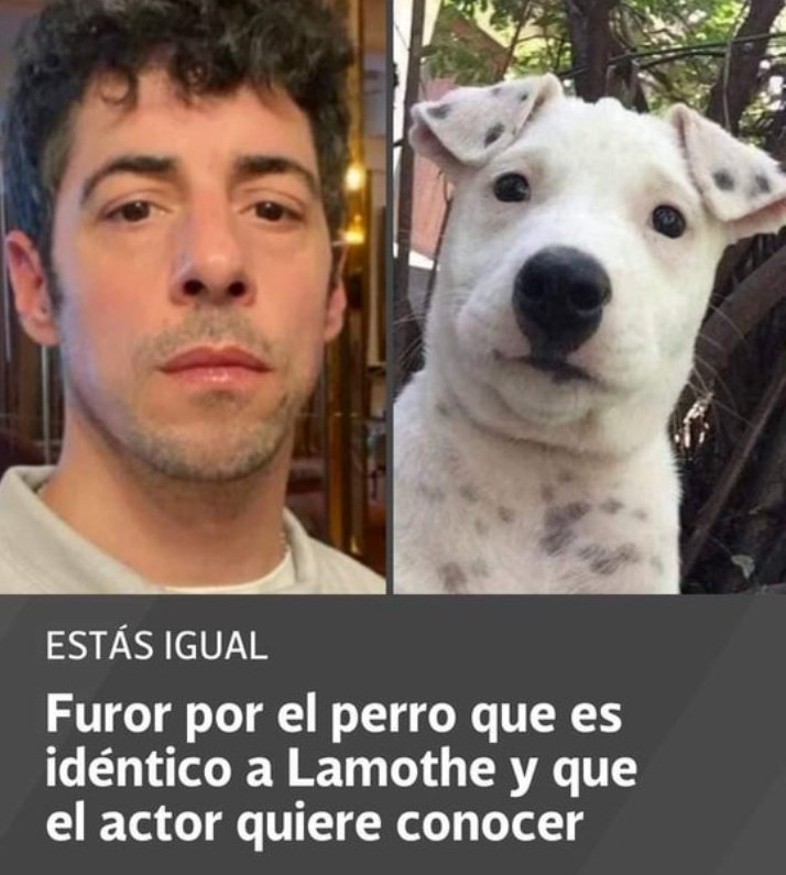 Todos: pará que se viene la primicia mundial de Infobae
La primicia: