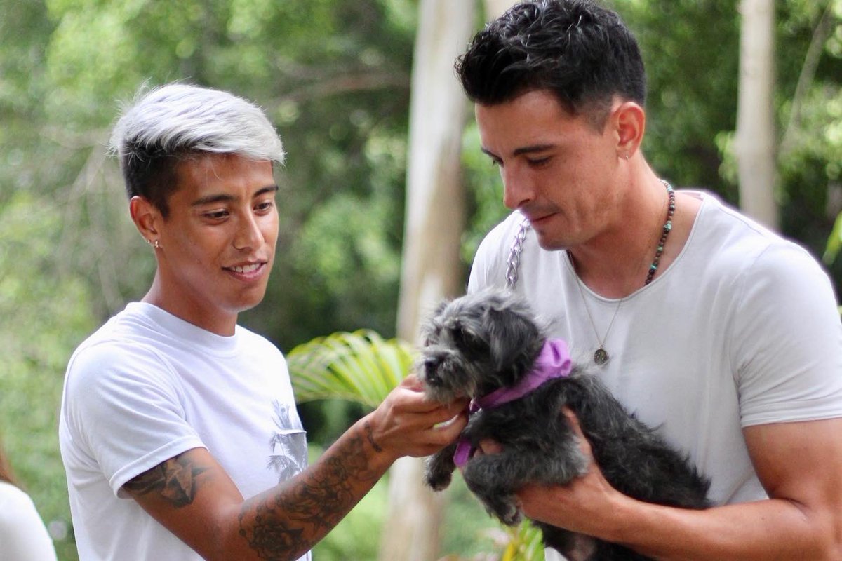 Coras_FC's tweet photo. 🦴 Adopta y cambia tu vida. Adopta y cámbiales la vida. 🐾

Kofi, Robin, Milly y Sabrina están en adopción. 

ℹ️ Adopta un Amigo Nayarit AC https://t.co/ahHfVb8NxJ