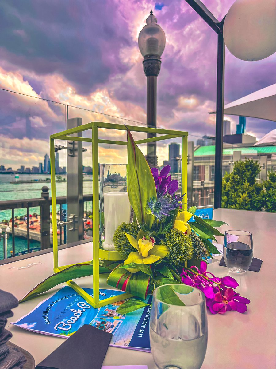 Great night at the <a href="/PAWSChicago/">PAWSChicago</a> Beach Party!