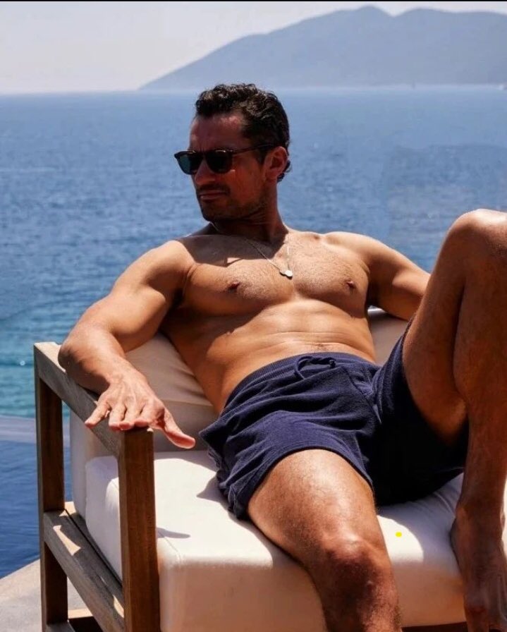 TheLastDogStar's tweet image. Thinking of a certain librarian. @BIBLlOS