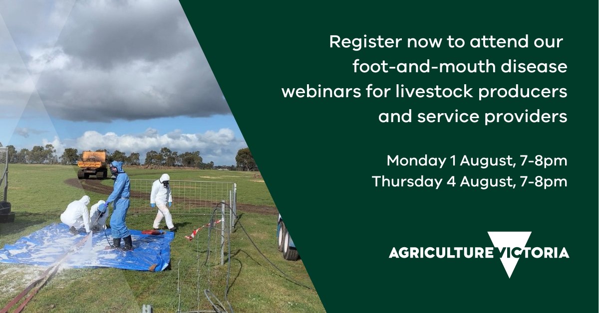 Victorian livestock producers and service providers are invited to attend a webinar on 1 August or 4 August to hear about how we are preparing for and will respond to a FMD outbreak. 
Register at: agriculture.vic.gov.au/events 

<a href="/meatlivestock/">Meat & Livestock Australia</a> <a href="/woolinnovation/">Australian Wool Innovation</a> <a href="/VicFarmers/">Victorian Farmers Federation (VFF)</a> @vfflivestock