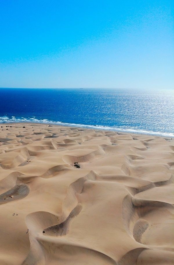 Canary Island 🏝💙