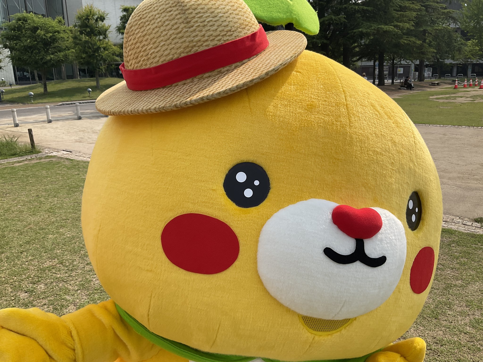 こみきゃん 公式 愛媛県 Uchinokomican Twitter