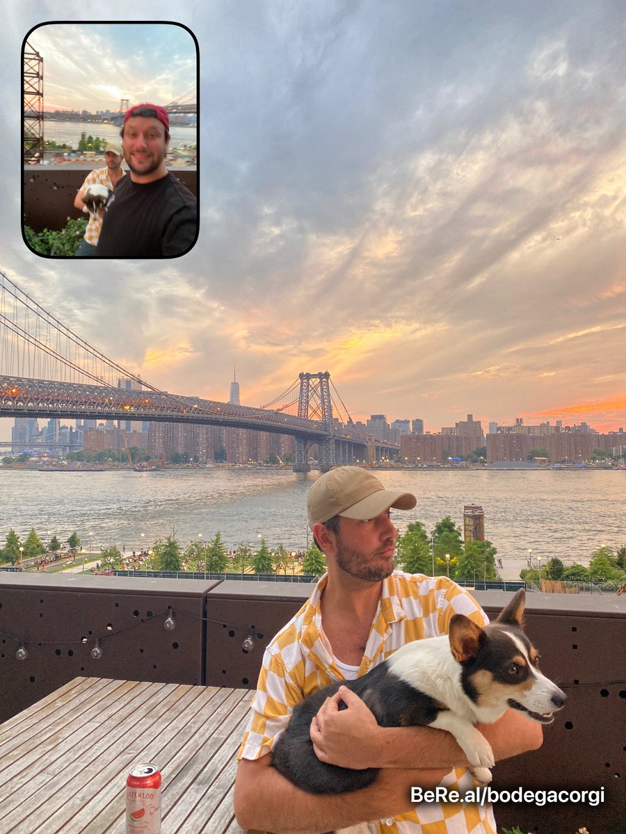 bodegacorgi's tweet photo. Follow bodega on BeReal you animals 🦝 https://t.co/kcGHFRa5ws
