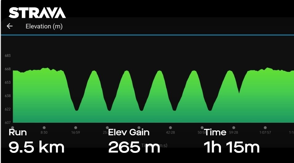 NazareUlhas's tweet photo. Hill Repeat with team #blueBrigade. #running #marathon #fitness #hillrepeat https://t.co/zSjSRPHfk4
