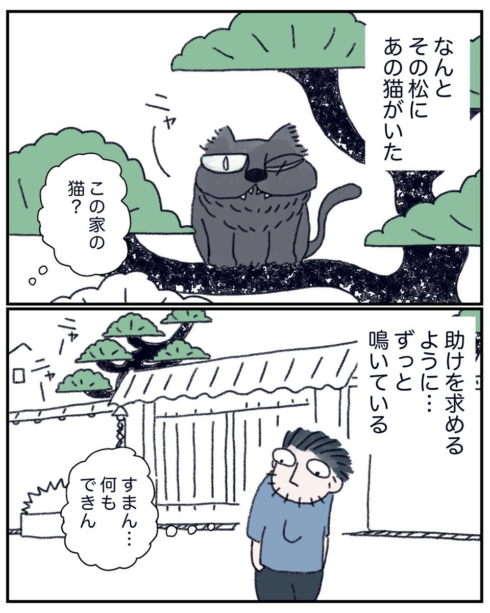 近所の豪邸 