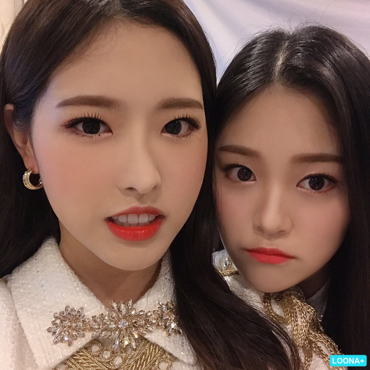 hourly loonacatcher bot - CLOSED tweet media