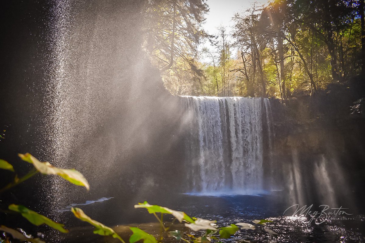 MegBurtonPhoto's tweet photo. One of my favorite photos I’ve ever taken. Taken in Oregon while on vacation visiting the in-laws.
#oregon #pnw #pacificnorthwest #waterfall #vacation #nikon #hike #hikingadventures #nikonphotography #megburtonphotography #favoriteshot https://t.co/CgXA0mBVHw