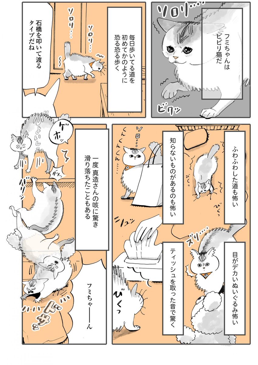 ふみとうにはこんな猫!(1/2)

#うちの猫は仲が悪い 