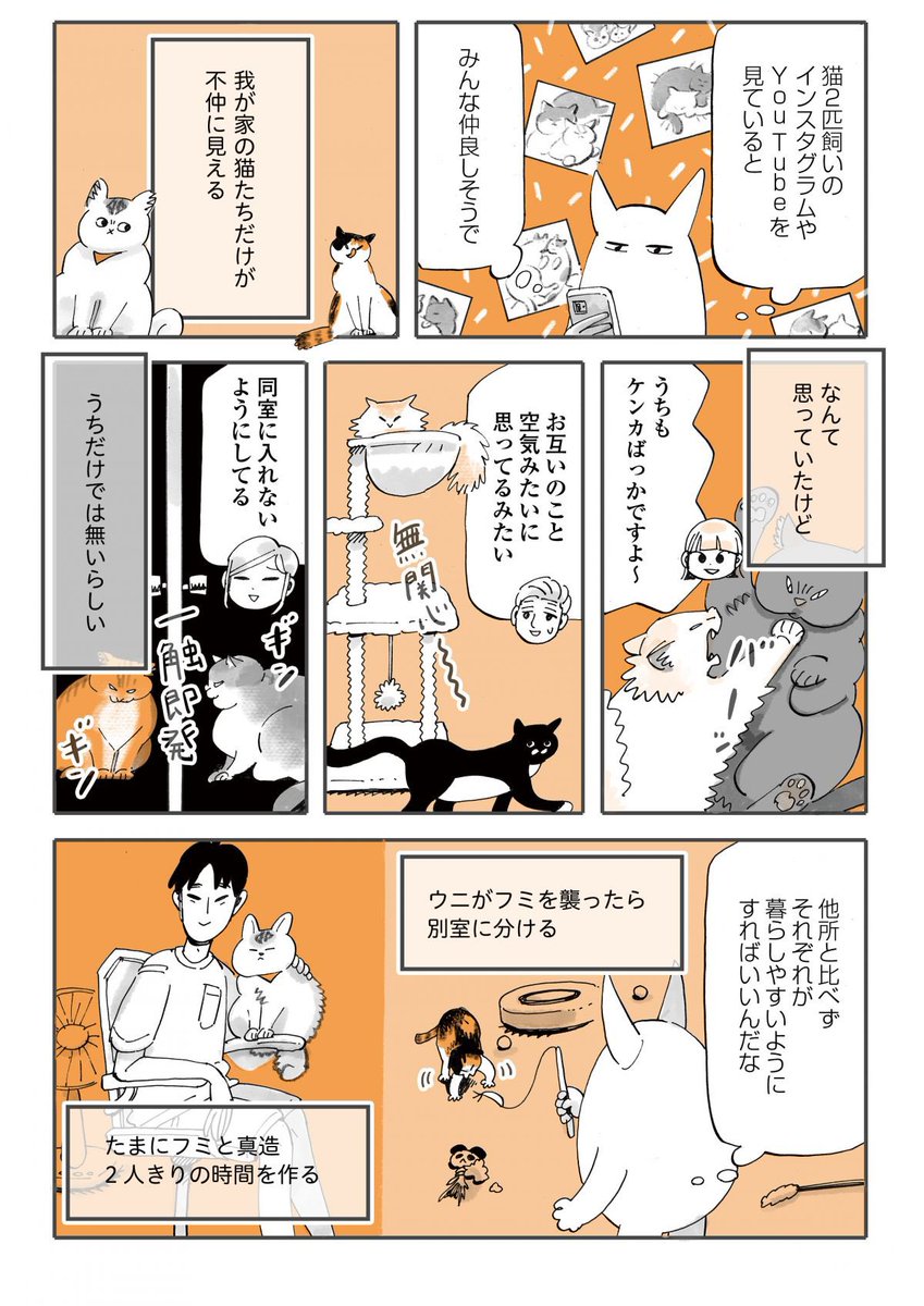 ふみとうにはこんな猫!(2/2)

#うちの猫は仲が悪い 