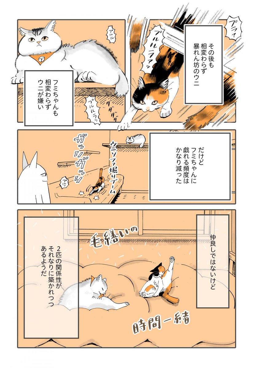 ふみとうにはこんな猫!(2/2)

#うちの猫は仲が悪い 