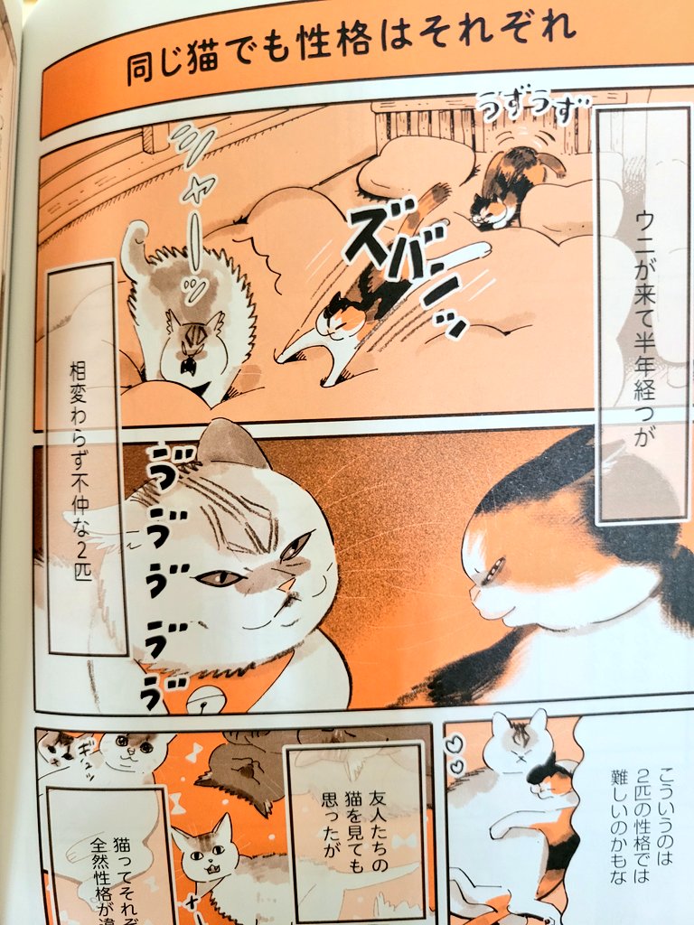 谷口菜津子さんの猫エッセイ「うちの猫は仲が悪い」が今日発売しました。うちの猫の仲の悪さと親バカっぷりが描かれています。
この本の中でふみとうにが生きています。
https://t.co/J7RIgMYmYU 