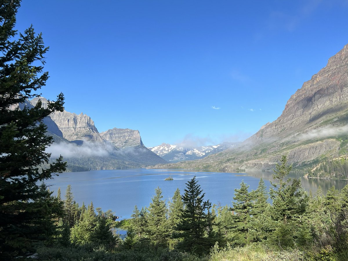 A little time away from work to #optoutside. Hiking/camping/backpacking in Yellowstone/Grand Teton and Glacier. WOW. Got to our first campsite in Glacier and that bear just came strolling by. What a trip! Thankful to those with the foresight to protect these beautiful spaces.