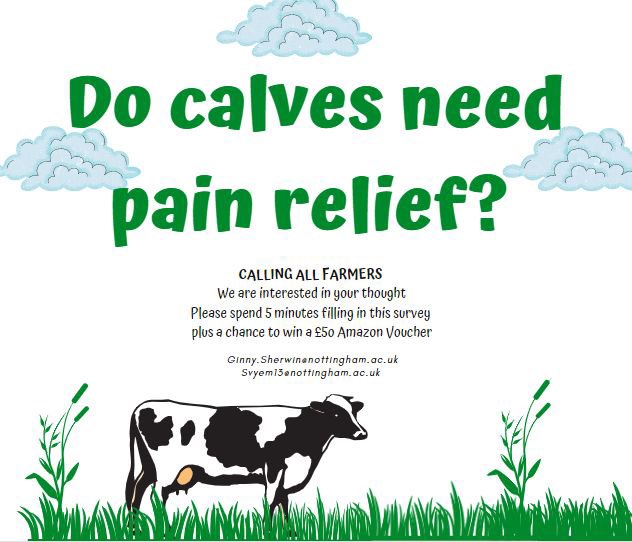 <a href="/LauraAwdry/">Laura Awdry</a> <a href="/cowmanagement/">Rachael Porter</a> <a href="/AHDB_Dairy/">AHDB Dairy</a> If anyone has 5 minutes to spare we would love to hear your views on when calves should receive pain relief please - forms.office.com/r/F3H9E0RkH0