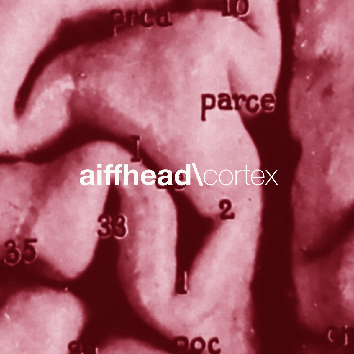 sinopixel's tweet photo. New aiffhead release via #spotify #ambient #noise #soundart #LoFiSpotify #lofi #artrock #REMIXES https://t.co/jyOY79xbOD